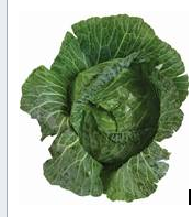 Cabbage - 1.0ea - Each 1